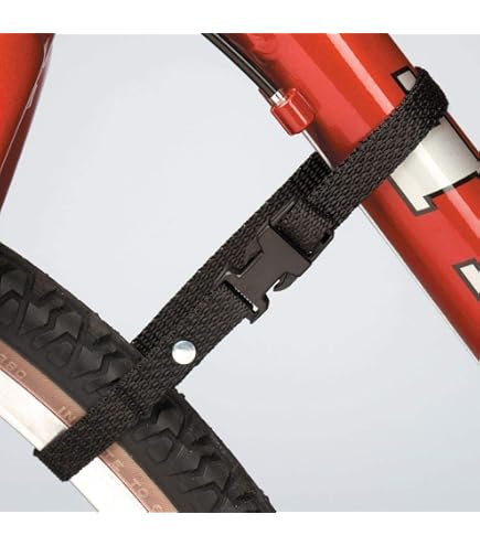 Amazon.com : SARIS Bike Rack Accessory, Trunk Rack Lock, 8 Feet