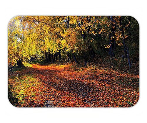 Minicoso Doormat Autumn Fall Forest with Shady Faded Leaves Fresh Foliage Park Natural Scenery Yellow Orange Fern Green