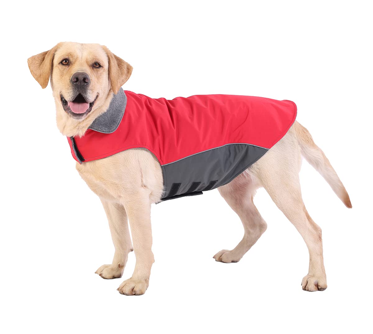 BONAWEN Winter Dog Coat 100% Waterproof Thicken Dog Jacket for Large Breeds (Red, 2XL) โ image 1