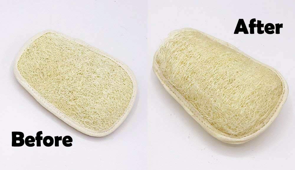 FAAY 2 Pack Natural Loofah Back Scrubber, 17” Long Teakwood Handle