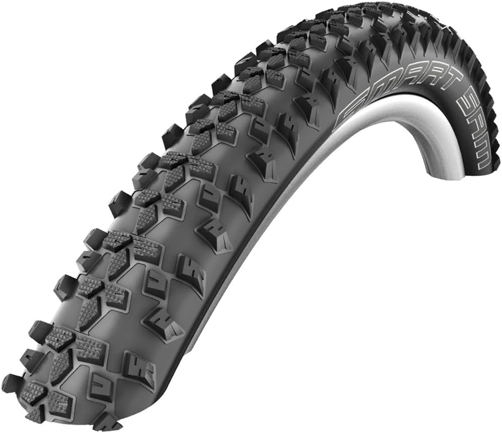 schwalbe smart sam 29 x 2.1