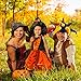 Pinkablu Funny Clown Costume Hat - Court Jester Halloween and Fancy Dress Party Hat