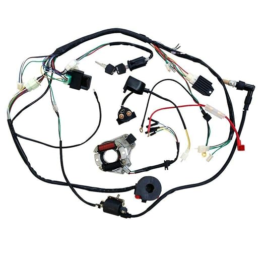Amazon.com: 50/70/90/110CC Wire Harness Wiring Loom CDI ATV Quad
