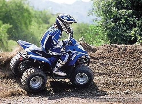Buyang Atv Wiring Diagram