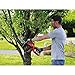 BLACK+DECKER LCS1020 20V Max Lithium Ion Chainsaw, 10-Inch