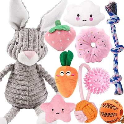 Speedy Panther 10Pcs Dog Toys Set Small Dogs Squeaky Plush Teething Rope Ball