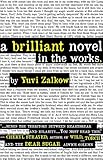 A Brilliant Novel in the Works by Yuvi Zalkow