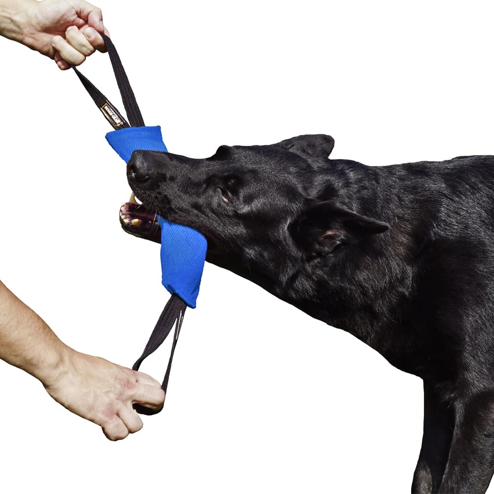 DINGO GEAR Bite Tug Toy for the Dog Training, K9, IGP, Schutzhund, Blind Search, Prey Drive, Fetch, Play, Handmade of Sturdy Nylcot, 2 Handles, Blue, Size - L (S00063)