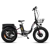 Amazon.com : MALISA Electric Trike for 