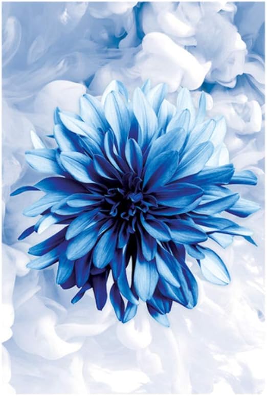 Get Decoracio elegant sala destar For iPhone