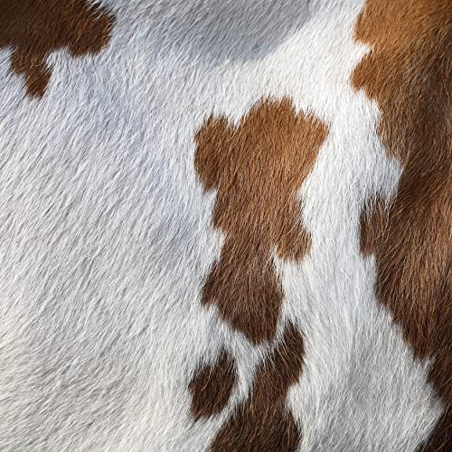 ASTAR Brown And White Cowhide Area Rug Premium Quality Natural Cow
