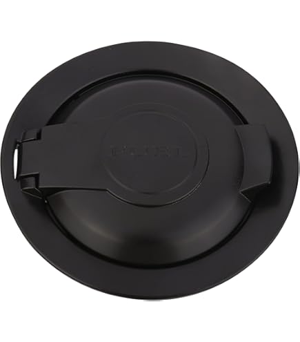 Amazon.com: 68250120AA Fit for Dodge Challenger Fuel Filler Door