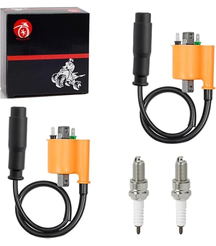 Amazon.com: Kawasaki 2012-2018 Brute Force 300 Ignition