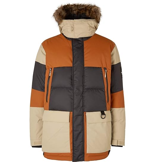 the north face v