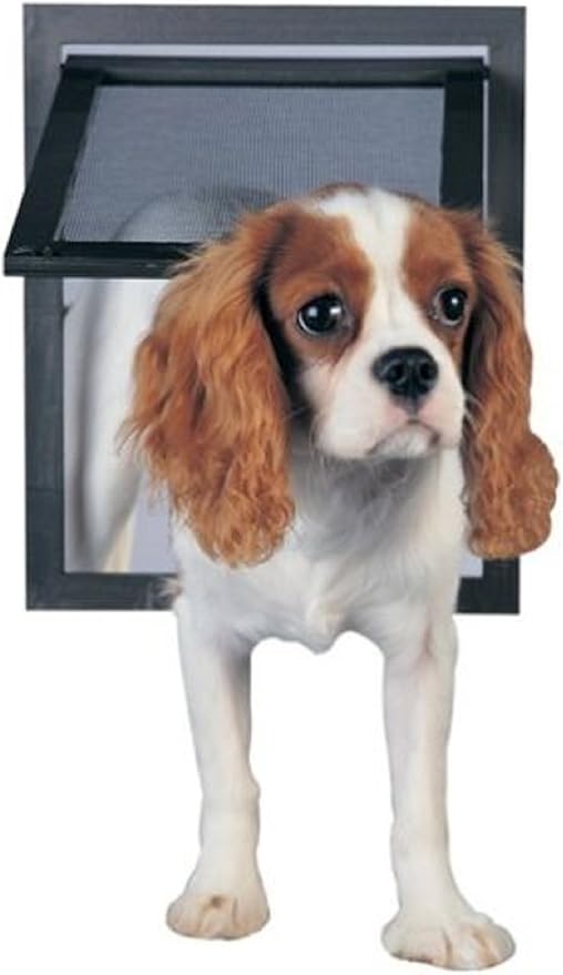 petsafe pet screen door
