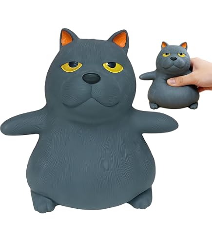 Amazon.com: RRSDJJ Funny Sand Filled Stress Toy，Stretchy Glue