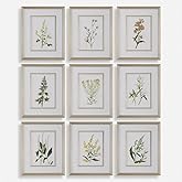 Uttermost 32339 Botanical Flowers - Framed Print (Set of 9)-21.38 Inches Tall and 17.38 Inches Wide
