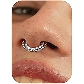 BodyBonita 16G Hinged Septum Rings - G23 Titanium Nose Rings Hoops Clicker Septum Jewelry CZ Nose Piercings Helix Tragus Rook Daith Earrings for Women Men Silver 8mm