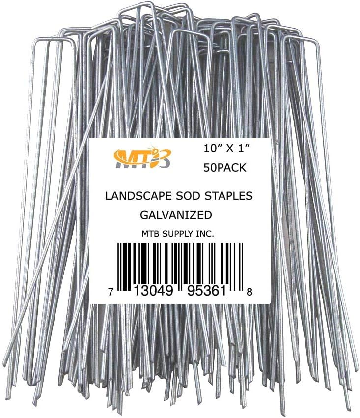 Best Garden Bed With Tomato Cage