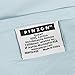 Pinzon 300-Thread-Count Percale Sheet Set - Queen, Spa Blue