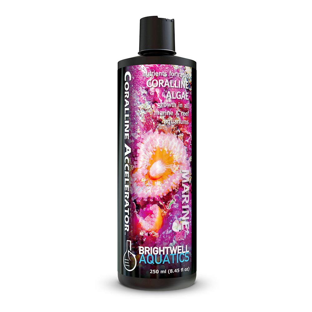 Mua Coralline Accelerator - Multi-Nutrient Supplement for Coralline ... - Aquarium Nutrient Supplements