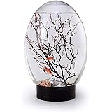 FASSTUREF Mini Ecological Fish Tank, Closed Aquatic Ecosphere, with LED Base Desktop Fish Tank, No Need to Change Water, No N