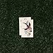 Tattify Traditional Bird Temporary Tattoo - Message Send Error (Set of 2) - Other Styles Available - Fashionable Temporary Tattoos