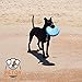 PETOY 2 Pack Dog Rubber Frisbee + Free Bonus!!!