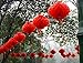 FancyWolf 10 Pcs Chinese New Year Lanterns Red Lanterns Set of 10 for Chinese Spring Festival Wedding Festival Restauran Party Decoration (20 Cm/7.9