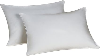 Dream Maker Queen Pillow Set 2 Queen Pillows Found At Best