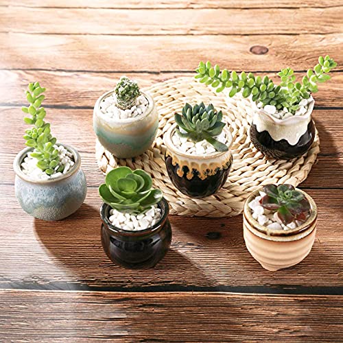 T4U Small Ceramic Succulent Pots with Drainage Set of 6, Mini Pots for