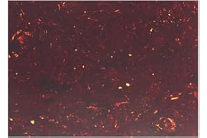 Musiclily 20x25cm Blanks Acoustic Guitar Pickguard Material Self Adhesive Scratch Plate Sheet, Tortoise Shell