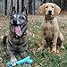 Tough, Durable Dog Chew Toys: Strong Rubber Bone for Large & Medium Dogs or Puppy - Indestructible Toy Bones for Aggressive Chewers - Long Lasting Chews for Boredom, Training & Teething Puppies