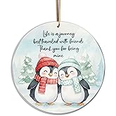 Friendship Christmas Ornament, Penguin Ornament for Best Friends, Friend Ornaments for Women, Gift for Friends, Penguin Ornament, Inspirational Bestie Gifts, Birthday Gift for Best Friend