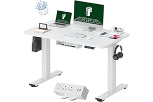 FLEXISPOT EN1 Electric Height Adjustable Sliced Desktop Standing Desk, 48" Sit Stand Up Computer Desk Workstation for Home Of