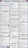 2017 Arkansas State and Federal Labor Law Poster - Laminated 24
