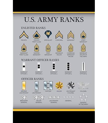 Amazon.com: U.S. Army Rank Wall Hanging - E-8 (1SG) Raised Stripes