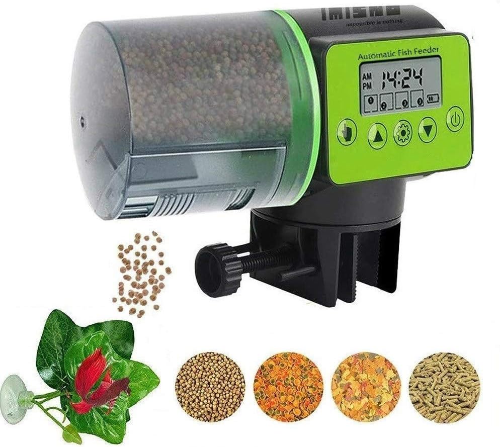 colorful freshwater angelfish