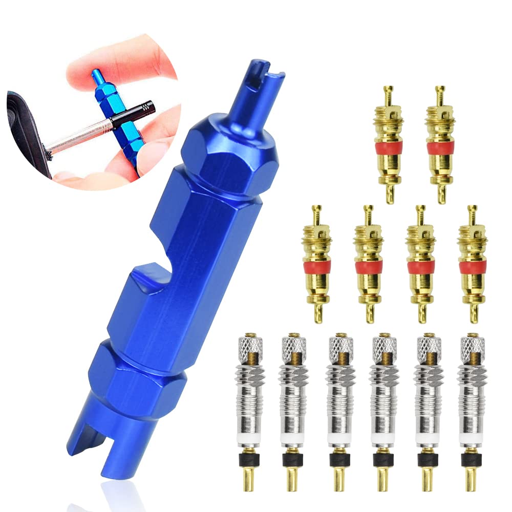 WANTOUTH 13Pcs Valve Core Remover Tool Kit Bike and Car Valve Core Repair Tool with Brass Replacement Presta and Schrader Valves Cores Bike Bicycle Cores Repair Tools for Universal Road Bikes Car