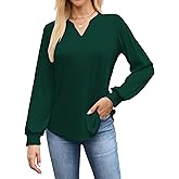 ALFYRCFT Long Sleeve Shirts for Women V Neck Pleated Puff Sleeve Tunic Tops Dressy Casual Work Loose Blouses 2025 Fall