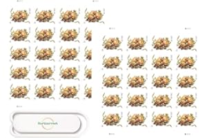 Celebration Corsage First Class Two Ounce Stamps Wedding Mother’s Day Proms 2 Sheets of 20 Bundle with Northarvest Office Clip