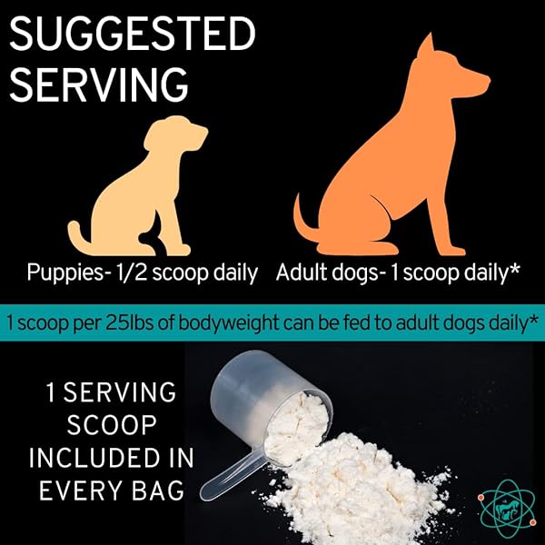 PET CARE SCIENCES – 45 SERVINGS OF DOG WEIGHT GAINER – WEIGHT GAIN SUPPLEMENTS FOR DOGS – CANINE AND DOG MUSCLE BUILDER – MADE IN THE USA