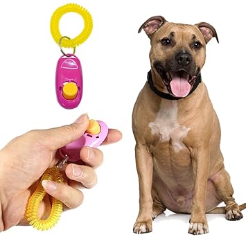 Sage Square Pet Training Clicker with Wrist Strap for Dog/Cat/Kitten/Puppy/Bird (Pink)
