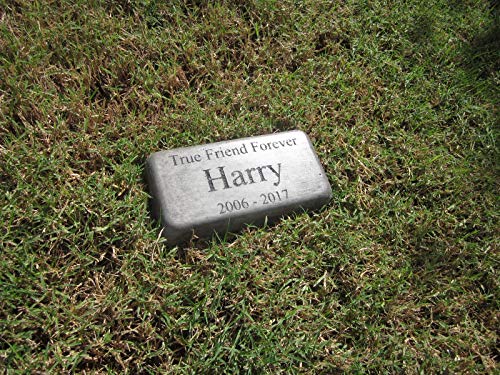 Personalized Engraved Pet Memorial 'True Friend Forever' 8" X 4" (Brick Size)