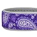 Blueberry Pet Soft & Comfy Paisley Flower Print Neoprene Padded Adjustable Dog Collar, Violet, Large, Neck 18