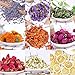 Dried Flowers,Artisan Dried Flower Kit - Candle Making, Soap Making,DIY Soap, Natural Flowers,AAA Food Grade-Lemon,Lavender,Roseleaf,Pink Rose,Red Rose,Jasmine Flower,Rose Petal- 12 Packets with Clip