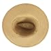 Lanzom Women Wide Brim Straw Panama Roll up Hat Fedora Beach Sun Hat UPF50+ (A-Brown)