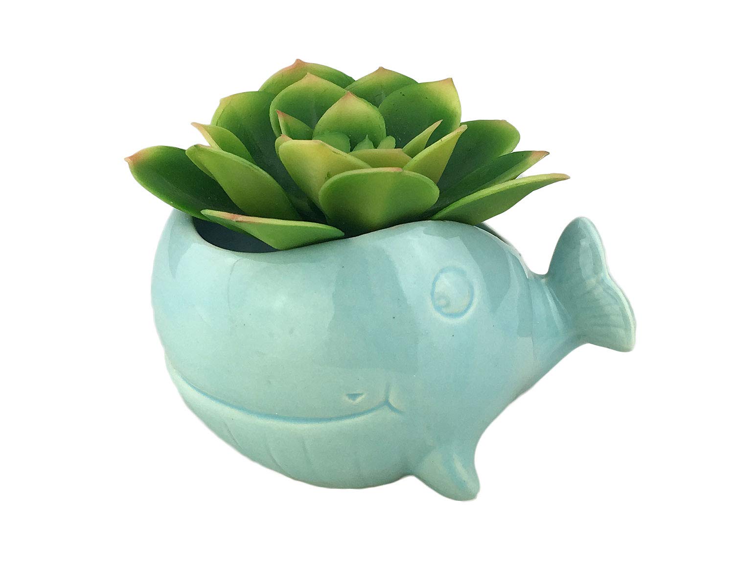 VanEnjoy 5" Ocean Blue Whale Ceramic Succulent Pot, Medium (3.86 x 4.64 x 2.87 inches), Indoor Use