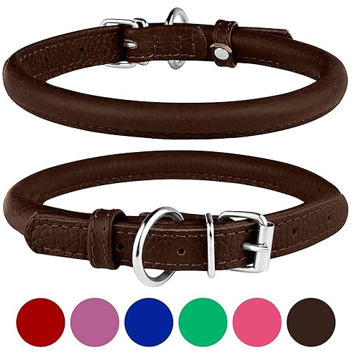 best dog collar to prevent matting
