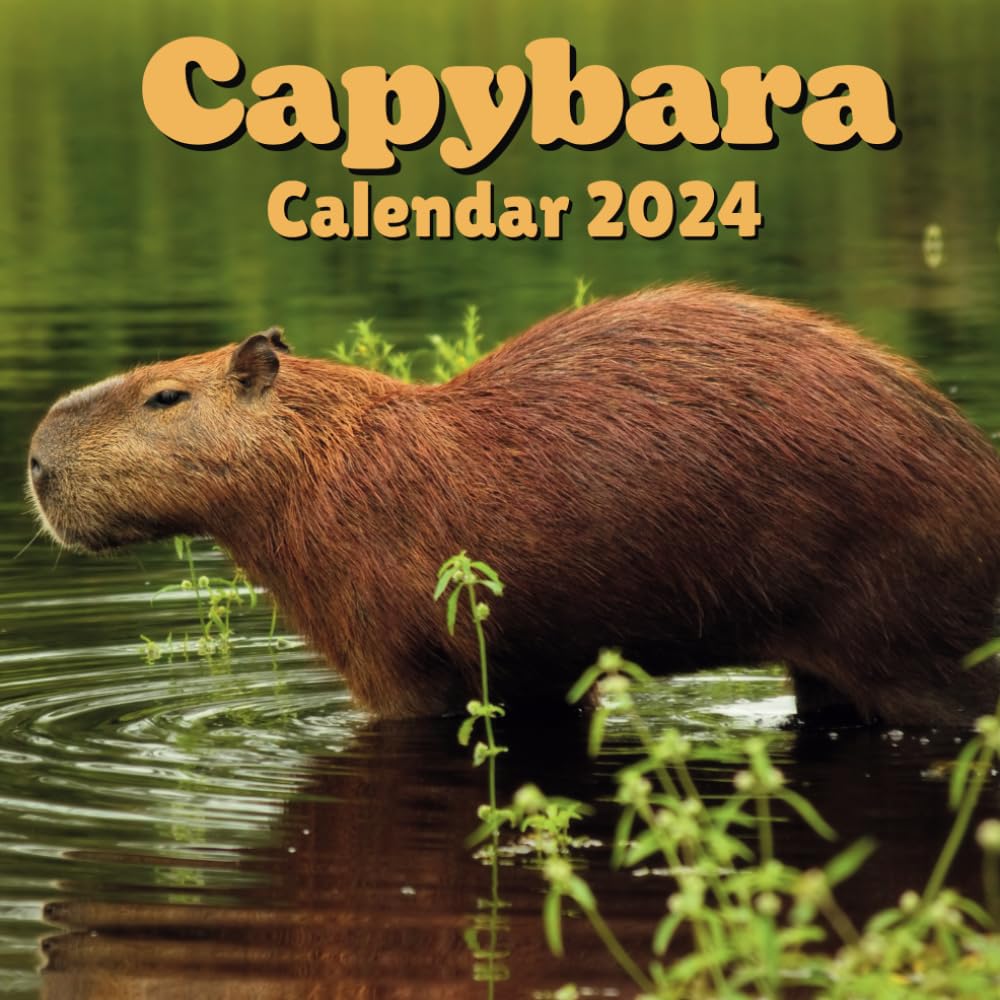 Capybara Calendar 2024: 16 Months Organizer For Home & Office Organizer , Mens , Womens , kids